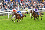 180523-Race 4-The Foxes-9709