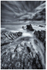 Rocky Shores, Bangor (IMG0585)