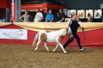 SBM_18449