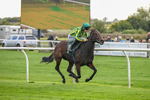 Race 2 1.35pm Every Race Live On Racing TV Novice Stakes portfolio