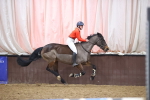 SBM_006097