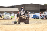SBM_002179