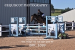 BPP_1099