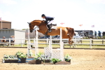 SBM_004338