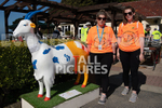 Saffery Rotary Charity Walk 2021-11