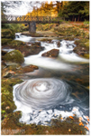 Shimna Swirls, Tollymore Forest (IMG699)