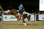 3HRodeo8-5-24_CFD_3HR-YUMA- 3446_