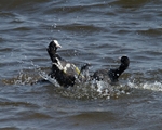 20110430-IMG_5222