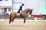 SBM_009222