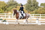 SBM_015456