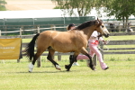 SBM_02406