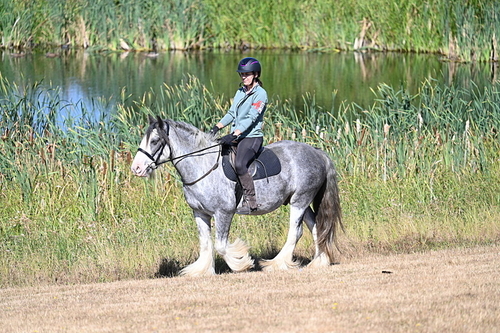 WJ7_7465