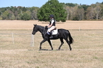 WJ6_8822