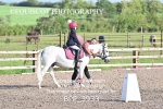 BPP_3933