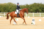 Class 13 - Novice 23 - 13.31-14.13 portfolio