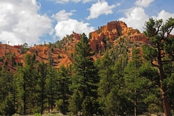 Red Canyon; Utah portfolio