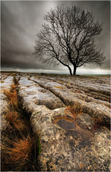Yorkshire Dales portfolio