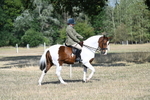 WJ7_2773