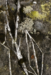 Detail portfolio