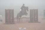 Cls 37 Academy Individual Pony 80cm portfolio