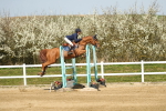 SBM_002730