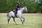 WJ6_5520