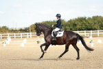 SBM_008784