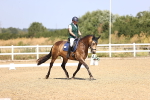 SBM_009486