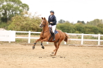 SBM_007414