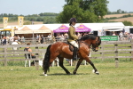 SBM_06893