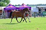SBM_01068