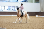 SBM_008124