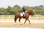 SBM_006303