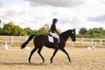 SBM_003339