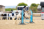 SBM_003897