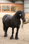 SIAL0246