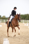 SBM_020229