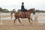 SBM_06308