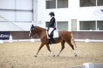 SBM_016295