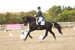 SBM_006921