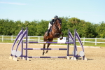 SBM_002720