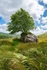 MF2_6672-HDR