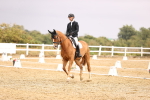 SBM_002048