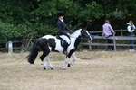 WJ7_7874