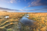 Frost on Findhorn marshes