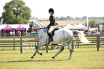 Class 75-76 LIHS BSHA Rising Star Hack Riding Horse portfolio