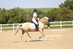 SBM_009078