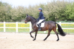 SBM_007289
