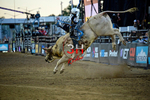 3HRodeo_PBR_TEAMS_JUL_2026_0063