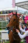 190523-Race 6-Eligible-0878